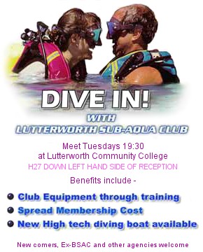 Dive In!