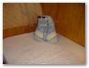 dsc00013.jpg